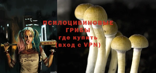 каннабис Абаза