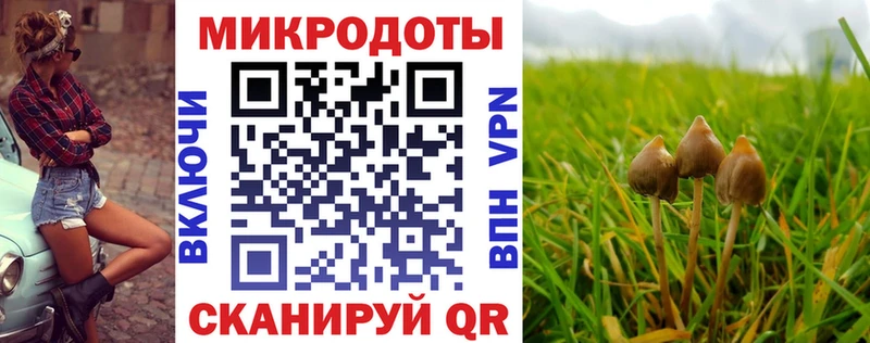 Галлюциногенные грибы MAGIC MUSHROOMS Азнакаево